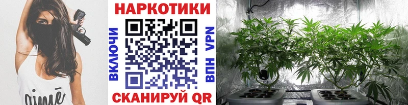 Купить Севастополь ГАШИШ  Конопля  МЕФ 