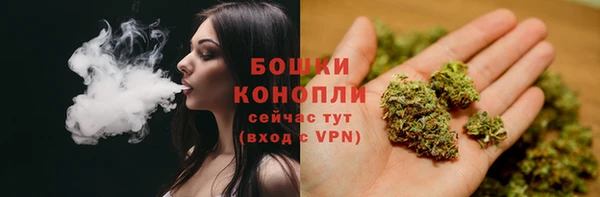 крисы Абдулино