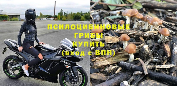 a pvp Абаза