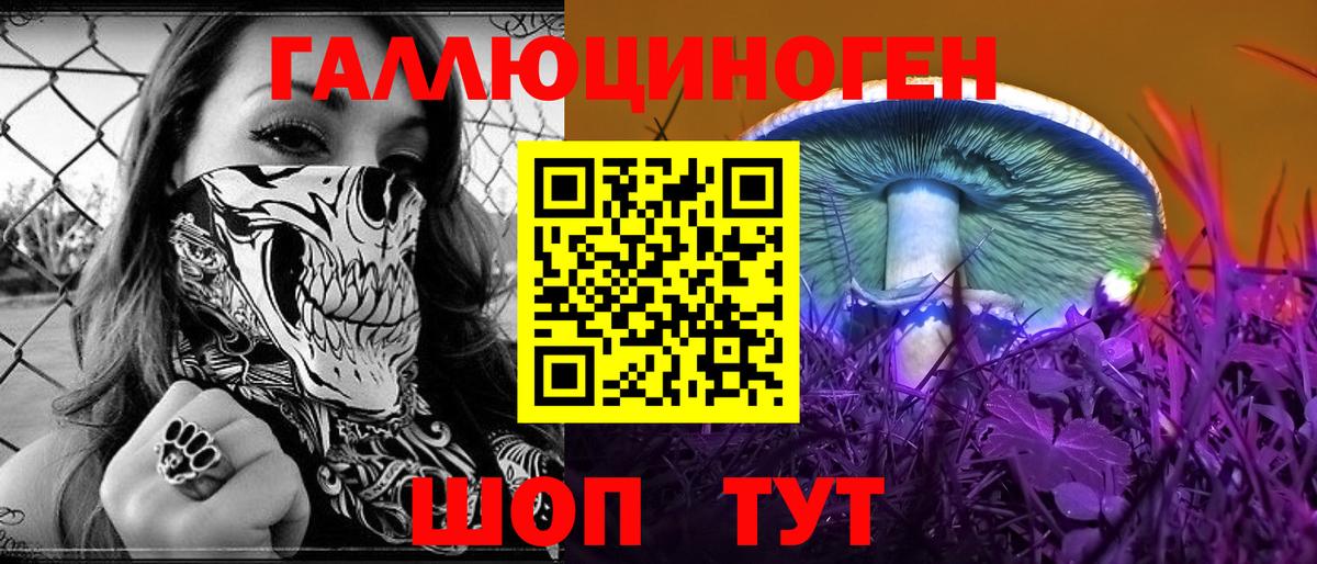 Псилоцибиновые грибы Psilocybine cubensis Севастополь