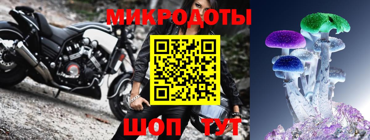 Галлюциногенные грибы Psilocybe  Вход с VPN  Севастополь 